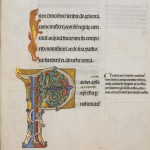 Ms 512 f°156 