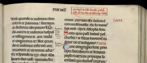 Indications de lecture dans la Grande Bible de Clairvaux : renvoi vers d’autres lectures et défense de lire le texte de la Passion dans le réfectoire. MGT, ms. 27, t. 5, f. 25.